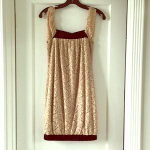 Alexia admor lace dress sz small Anthropologie